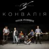 Віктор Павлік - Конвалія (Pavlik OverDrive Version) - Single